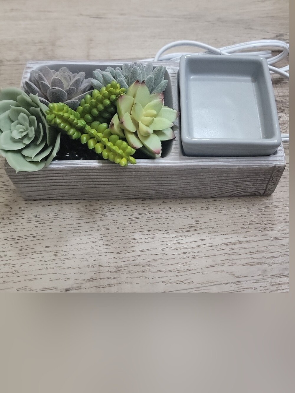 Scentsy Succulent Planter with Gray Ceramic Tray